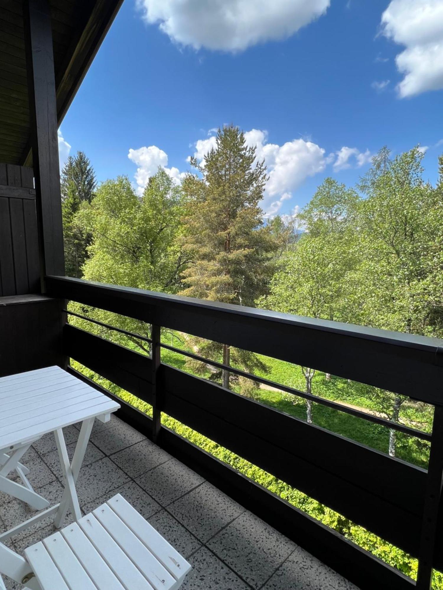 Appartementhaus Birkenwald เซเฟลด์ อิน ทิโรล ภายนอก รูปภาพ