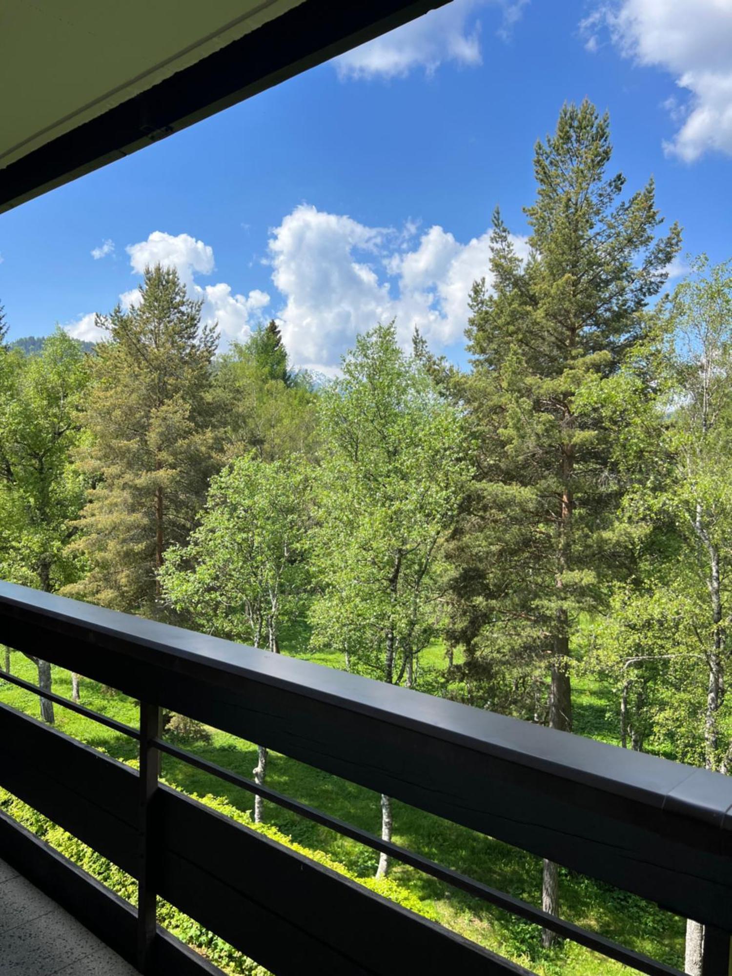 Appartementhaus Birkenwald เซเฟลด์ อิน ทิโรล ภายนอก รูปภาพ
